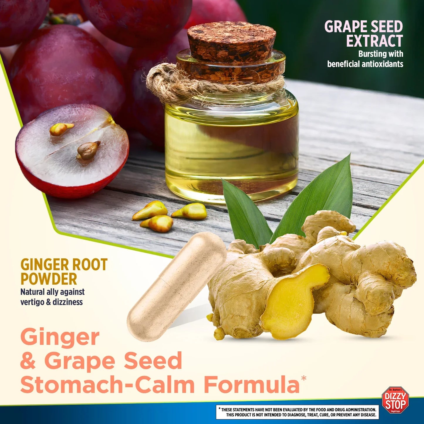 Dizzy Stop - Dr. Bartons - Ingredient Benefits
