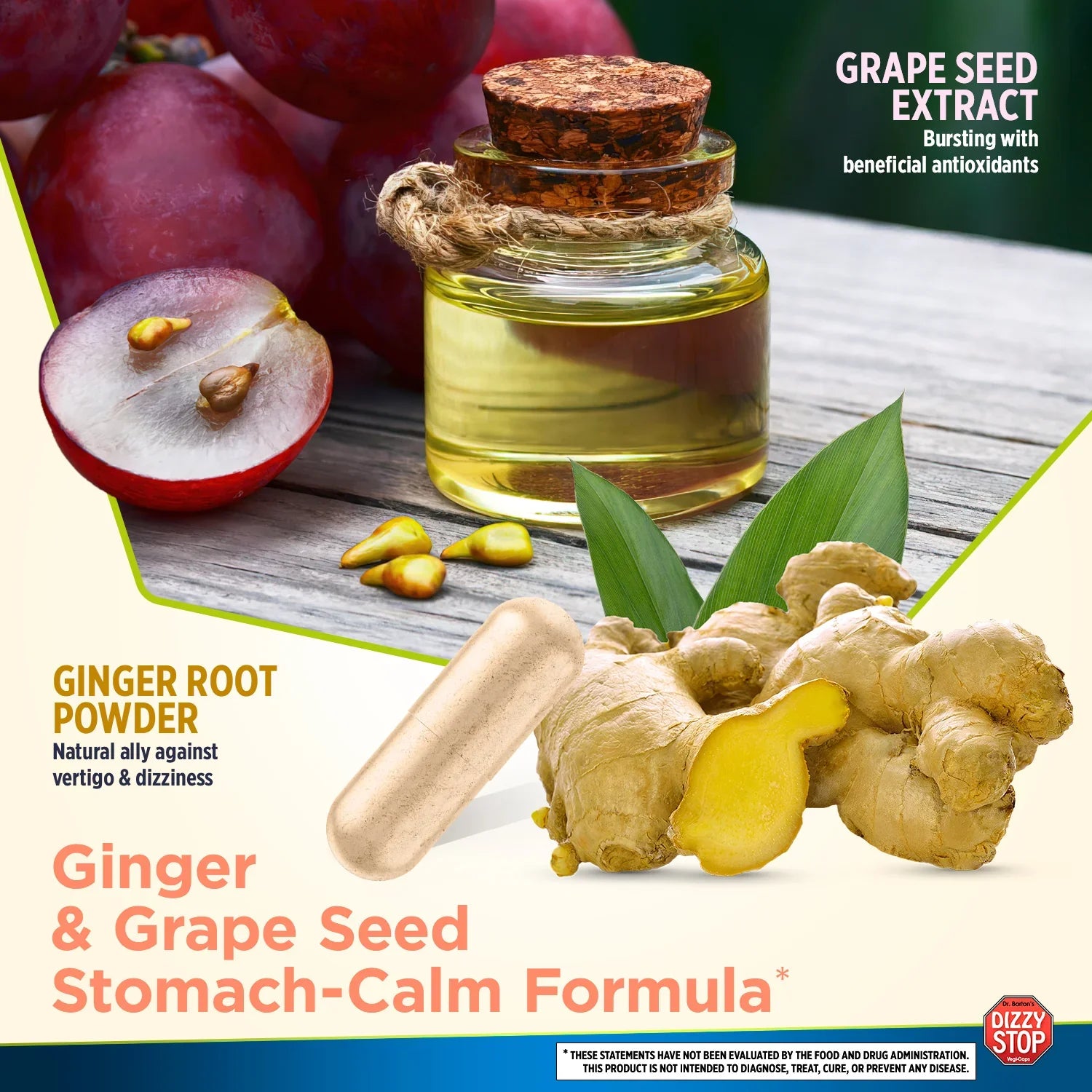 Dizzy Stop - Dr. Bartons - Ingredient Benefits
