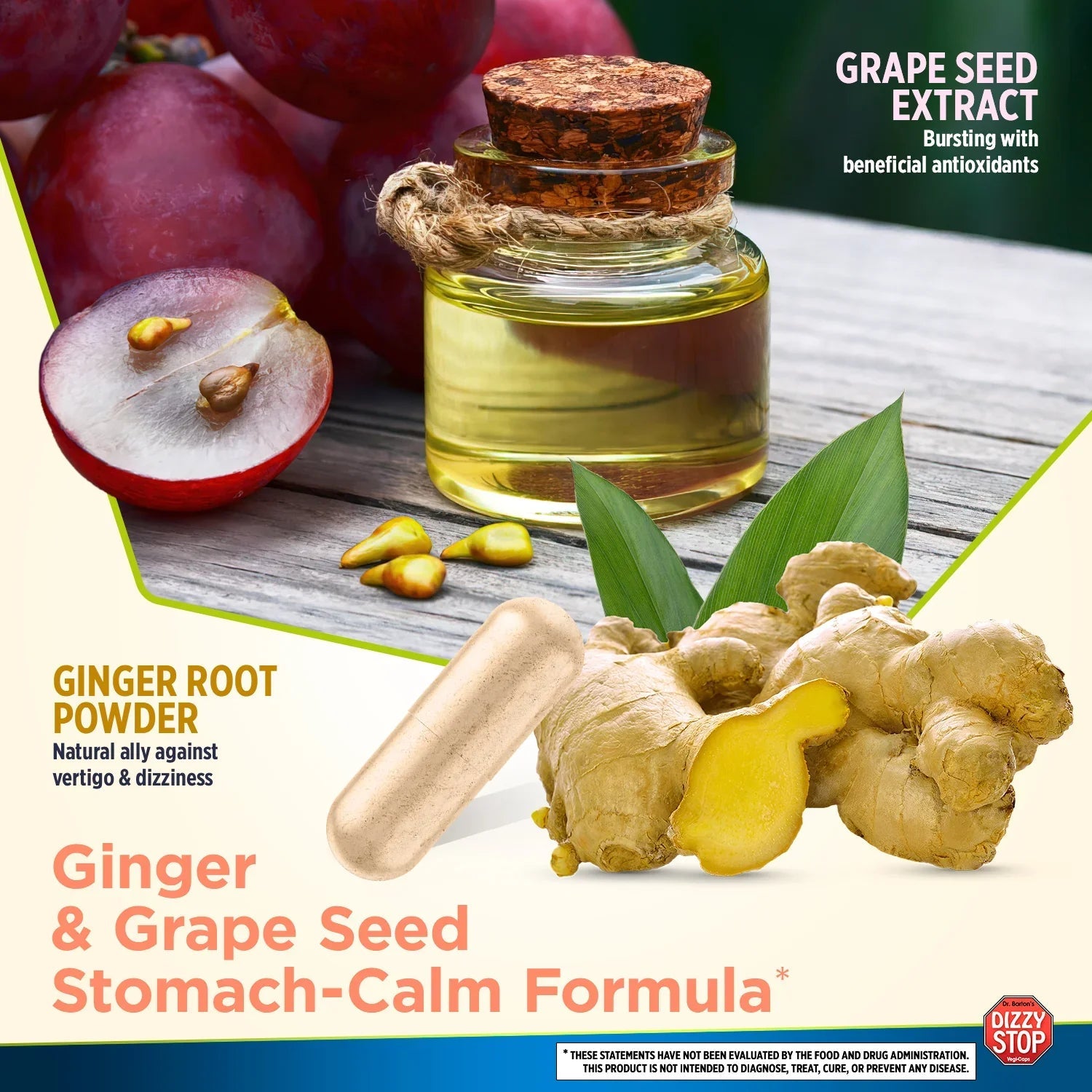 Dizzy Stop - Dr. Bartons